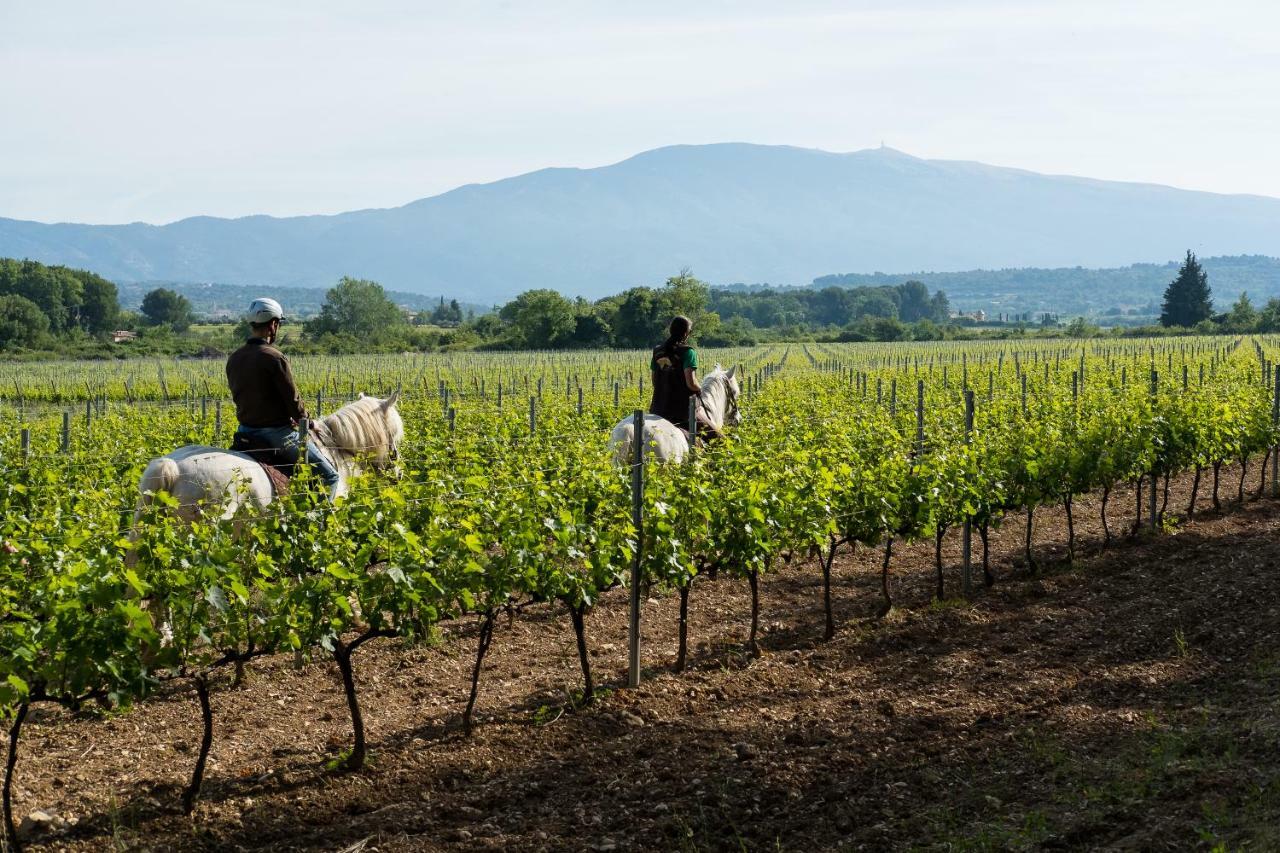 Chateau La Croix Des Pins Мазан Екстериор снимка